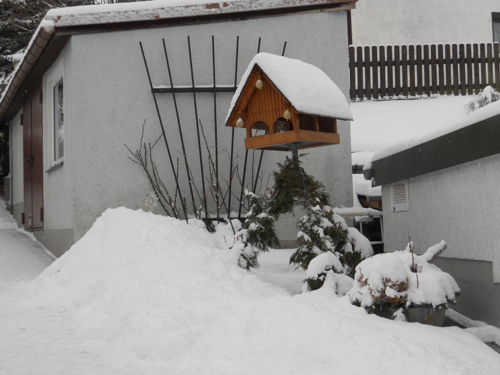 Ferienhaus Zittau Oberlausitz & Ferienwohnung Am Hamann Berg Buitenkant foto