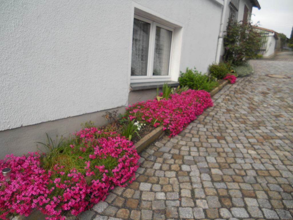 Ferienhaus Zittau Oberlausitz & Ferienwohnung Am Hamann Berg Buitenkant foto