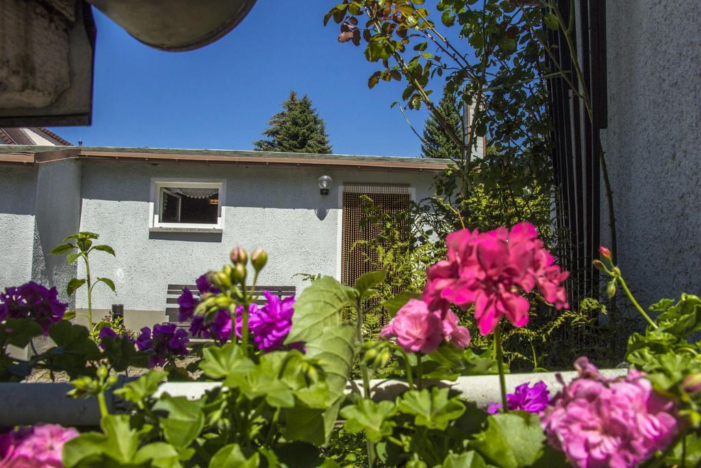 Ferienhaus Zittau Oberlausitz & Ferienwohnung Am Hamann Berg Buitenkant foto